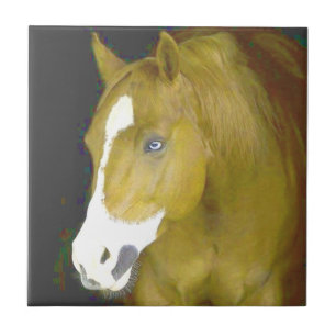 power-and-grace ceramic tile