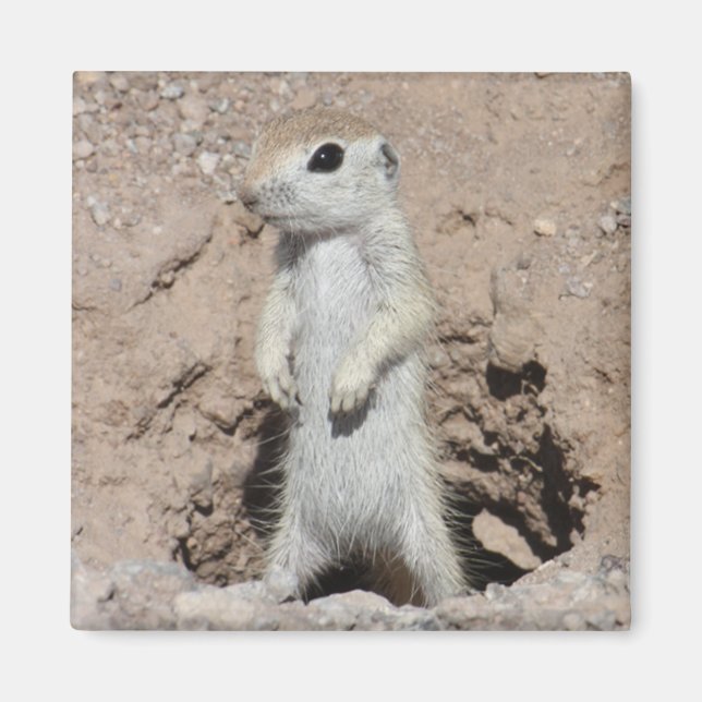 Power Ranger Squirrel Magnet (Front)