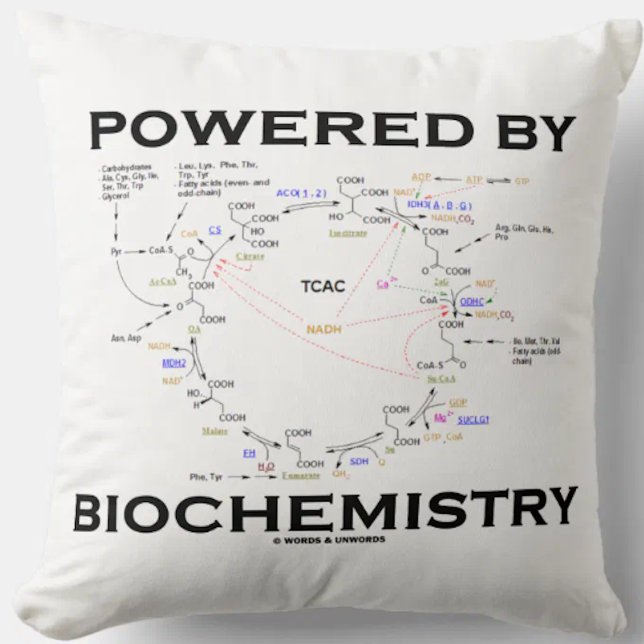 Powered By Biochemistry Krebs Cycle Geek Humor Throw Pillow (Throw pillow featuring Krebs cycle (citric acid cycle) for anyone "Powered By Biochemistry")
