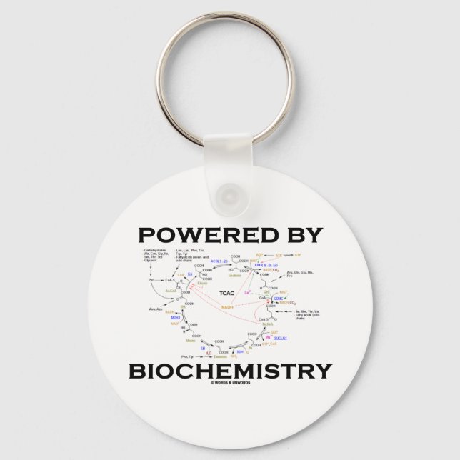 Powered By Biochemistry (Krebs Cycle) Keychain (Front)