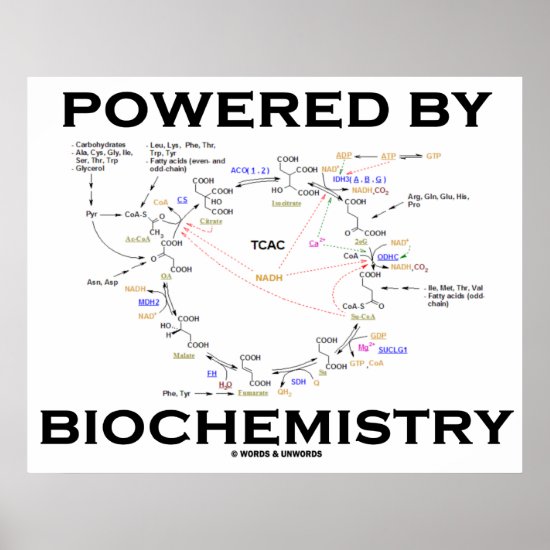 Powered By Biochemistry (Krebs Cycle) Poster