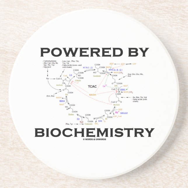 Powered By Biochemistry (Krebs Cycle) Sandstone Coaster (Front)
