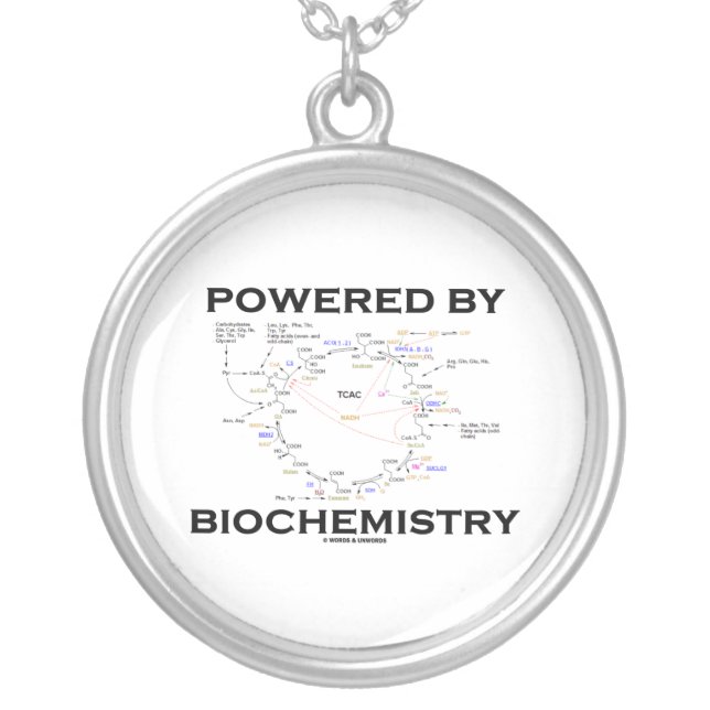 Powered By Biochemistry (Krebs Cycle / TCAC) Silver Plated Necklace (Front)