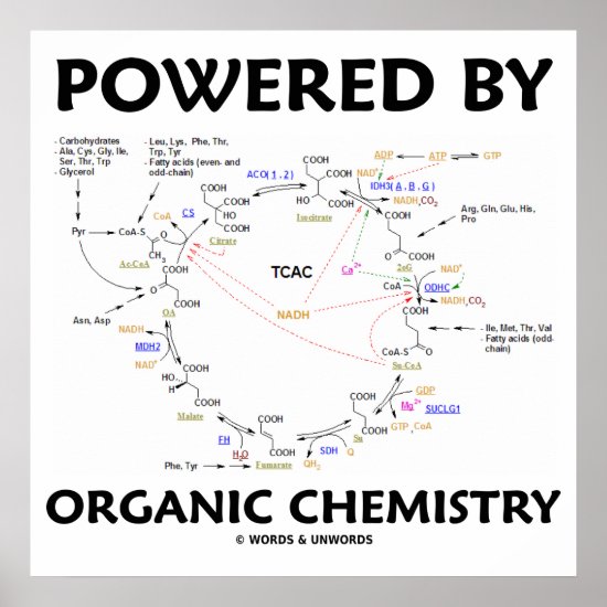 Powered By Organic Chemistry Krebs Cycle Humor Poster
