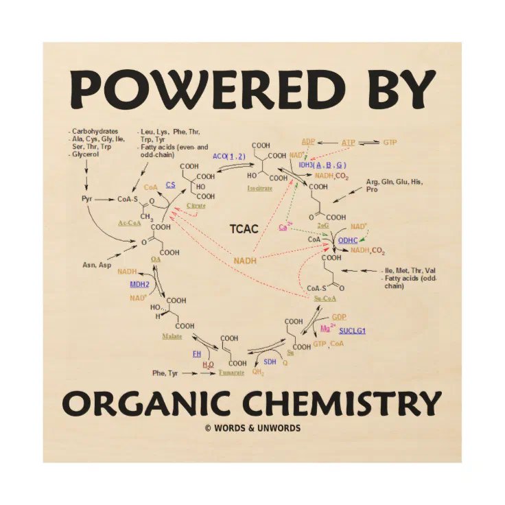 organic chemistry art