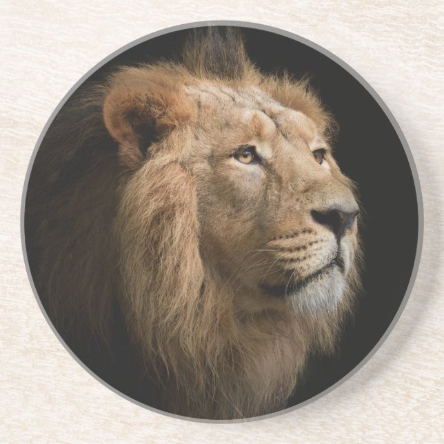 Powerful Lion Portrait with Dark Background Coaster (Front)