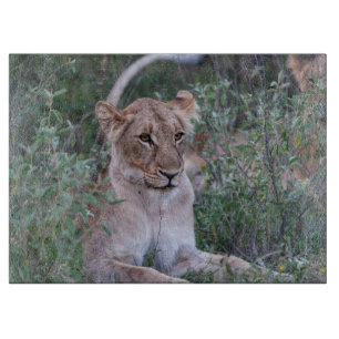 Powerful Lioness – Wildlife Moment Cutting Board