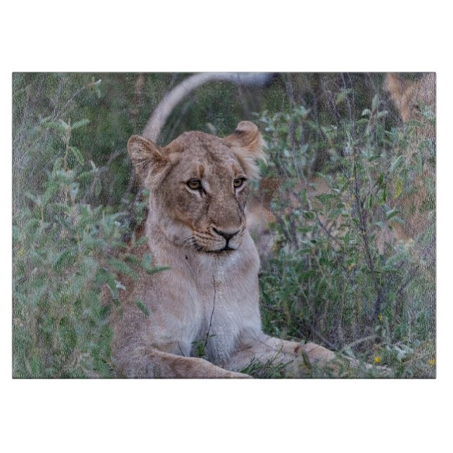Powerful Lioness – Wildlife Moment Cutting Board (Front)