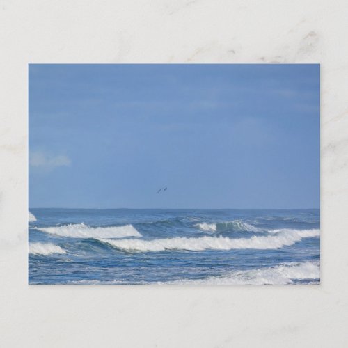 Powerful Pacific Ocean Waves IV Postcard