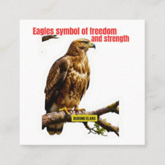 Powerful Soaring Eagle - Majestic Bird of Prey Sti Square Business Card