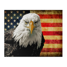 Powerful USA Eagle
