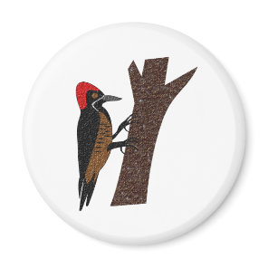 Powerful Woodpecker Magnet