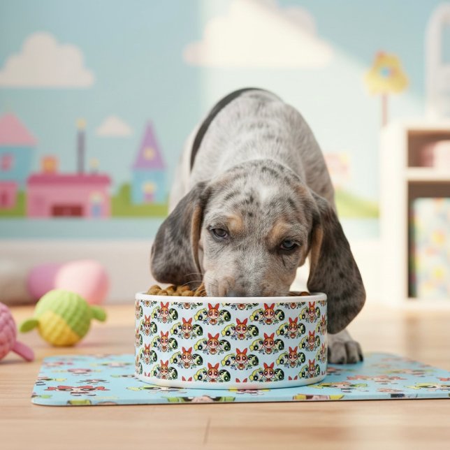 powerpuff girls Bowl (Creator Uploaded)