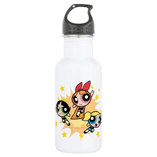 Powerpuff Girls Save The Day Stainless Steel Water Bottle (Front)