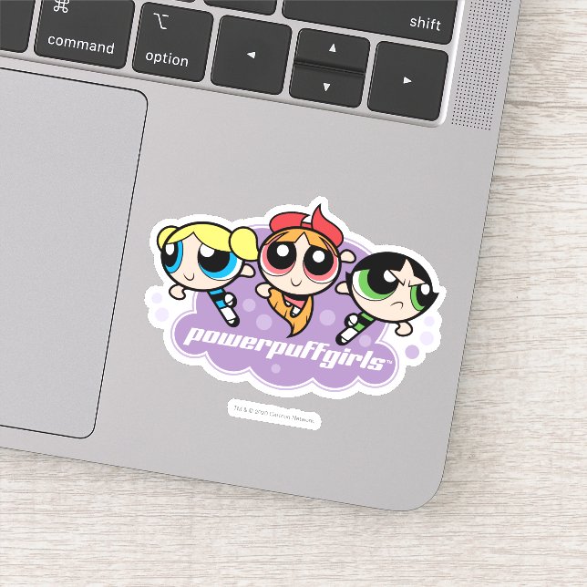 Powerpuff Girls Team Logo Sticker (Detail)