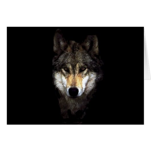 powerwolf (Front Horizontal)