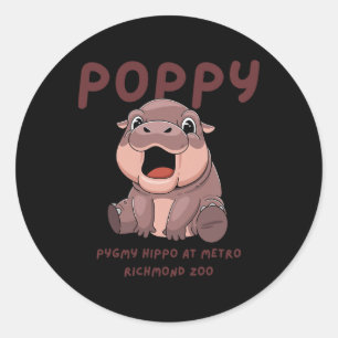 Ppy New Baby Pygmy Hip At Metro Richmond Zoo Virgi Classic Round Sticker