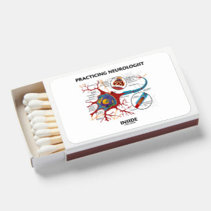 Practicing Neurologist Inside Neuron Synapse Matchboxes