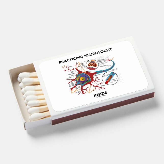 Practicing Neurologist Inside Neuron Synapse Matchboxes (Front Open)