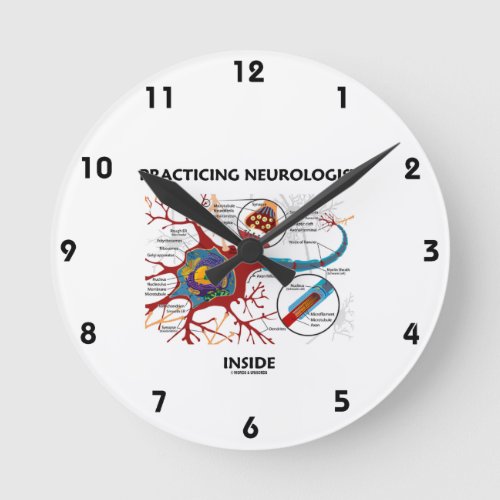 Practicing Neurologist Inside Neuron Synapse Round Clock