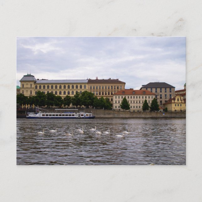 Prague Cityscape Postcard (Front)