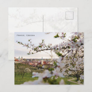 Prague Spring, Czechia travel photo Postcard