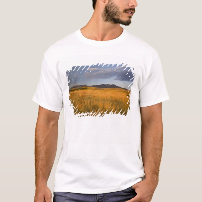 Praire grasslands in the foothills of the T-Shirt (Front)