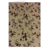 Prairie Calico Flowers (Front)