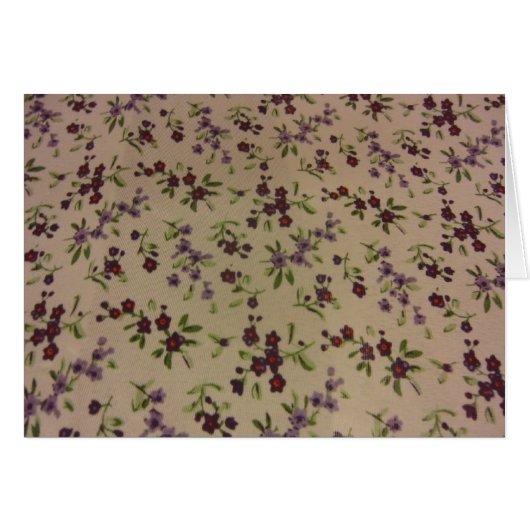 Prairie Calico Flowers (Front Horizontal)