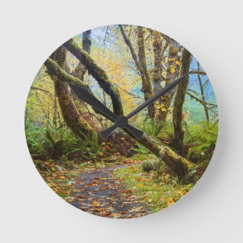 Prairie Creek Redwoods Fall Colors Round Clock