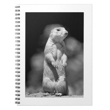 Prairie Dog#1-notebook Notebook by rgkphoto at Zazzle