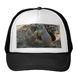 Prairie Dog Hats | Zazzle