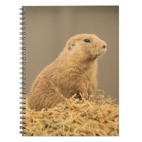 Prairie Dog Aint I Cute Notebook