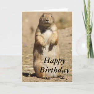 Prairie Dog Birthday Card