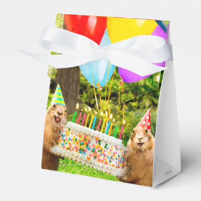 Prairie Dog Birthday Party Favor Boxes (Front Side)