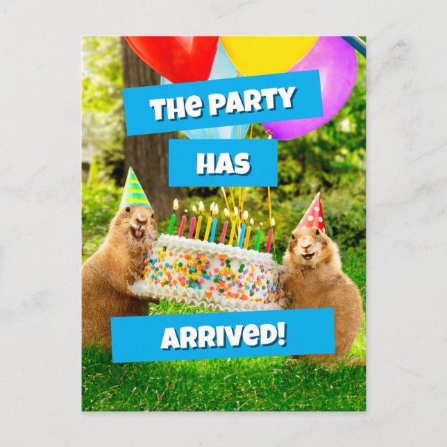 Prairie Dog Birthday Party Invitation Postcard (Front)
