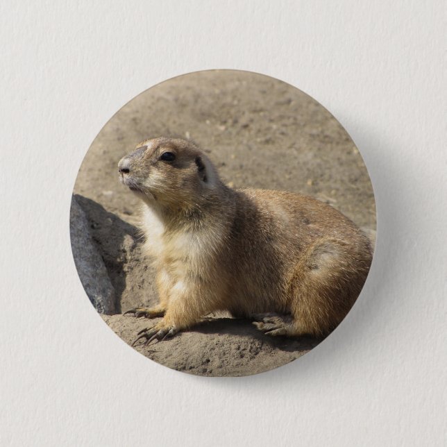 Prairie Dog Button (Front)