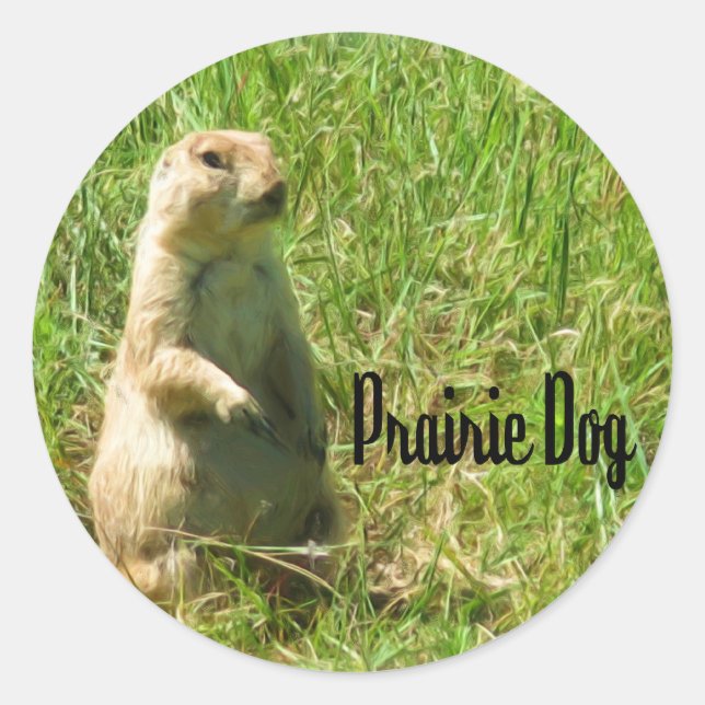 Prairie Dog Classic Round Sticker (Front)
