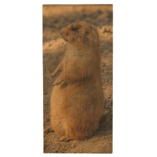 Prairie Dog Cute Photo Wood Flash Drive