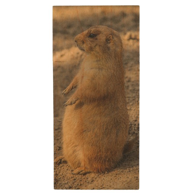 Prairie Dog Cute Photo Wood Flash Drive (Front Vertical)