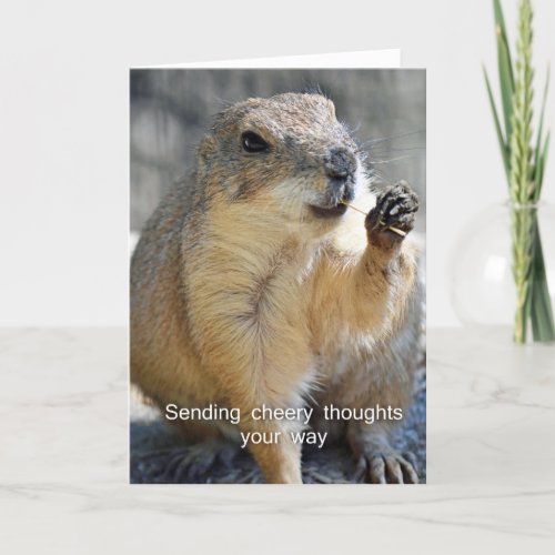 Prairie dog encouragement card