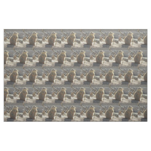 Prairie Dog Fabric