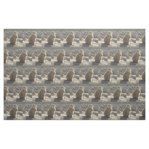 Prairie Dog Fabric