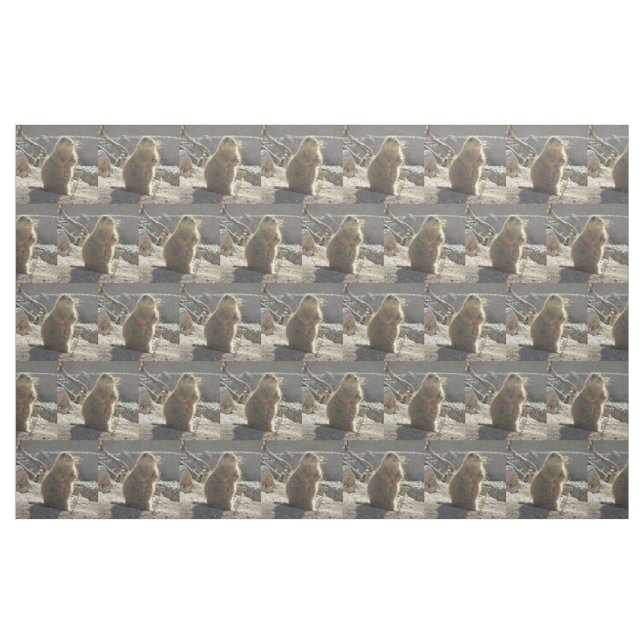 Prairie Dog Fabric (Fat Quarter)