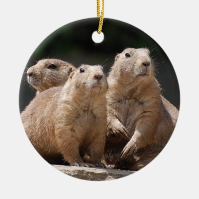 Prairie Dog Family Ceramic Ornament (Front)