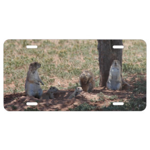 Prairie Dog Family License Plate