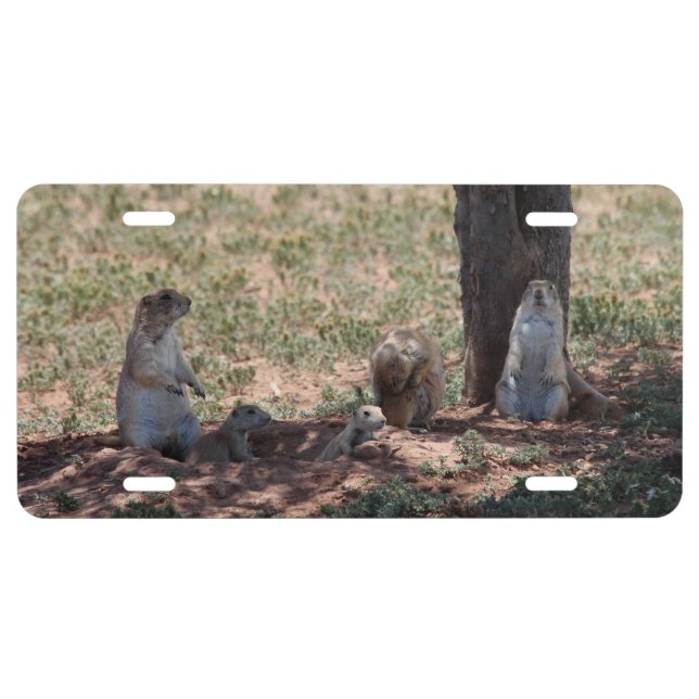 Prairie Dog Family License Plate (Front)