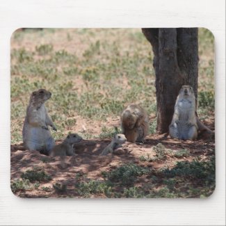 Prairie Dog Family
