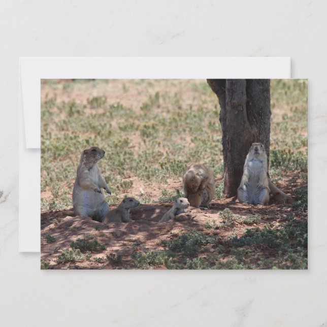Prairie Dog Family Note Card (Front)