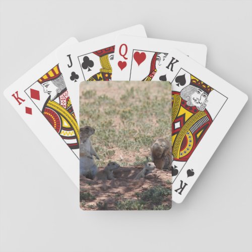 Prairie Dog Family Playing Cards